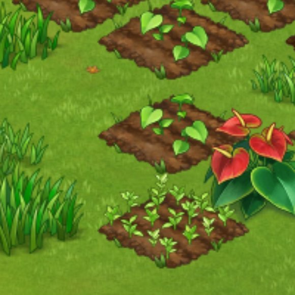 none - Picture 2 of 4